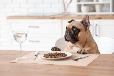 Mutfaktaki masada evcil hayvan mamasıyla buldog.