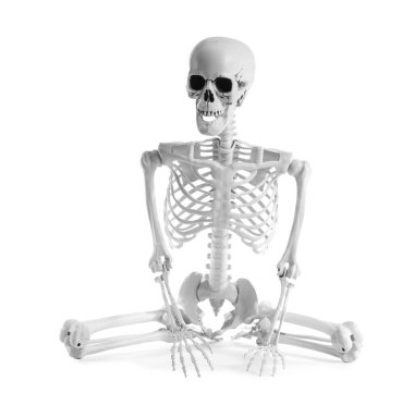 Beyaz arka planda oturan korkunç insan iskeleti.