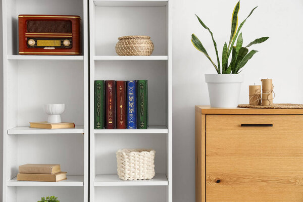 Shelving unit and wooden cabinet with decor, books and houseplant near white wall