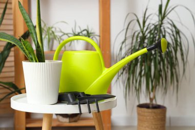 Bahçecilik aletleri atölyedeki masa üzerinde bitki, yakın çekim