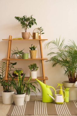 İçinde raf ünitesi, yeşil bitkiler ve bahçe aletleri olan ışık odasının içi.