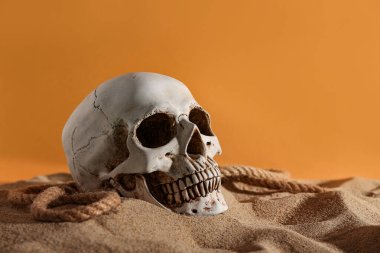 Turuncu arka planda kumda ip olan insan kafatası