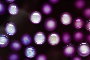 Menekşe arkaplanda kabarcıklar olan suyun dokusu, yakın plan