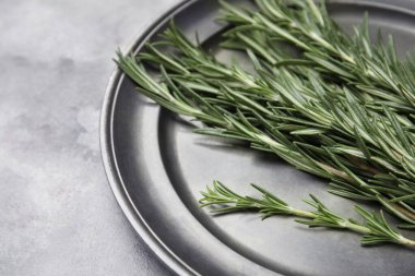 Gri grunge arka planda taze biberiyeli tabak.