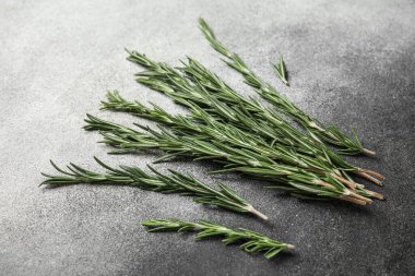 Gri grunge arka planında taze yeşil biberiye