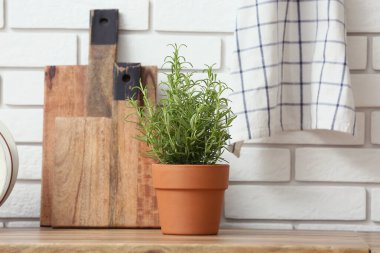 Mutfak tezgahında beyaz tuğla duvara karşı tahtaları olan biberiye saksısı