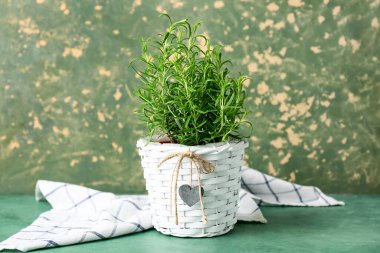 Yeşil grunge arka planda peçeteli biberiye bitkisi.