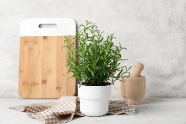 Hafif grunge arka planında havan ve yiyecek olan biberiye saksısı.