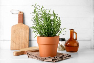 Tahtalı biberiye bitkisi ve beyaz ahşap arka planda bir sürahi yağ.