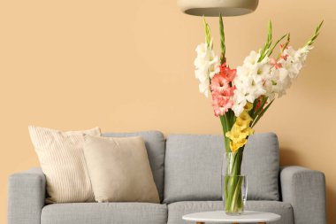 Rahat bir kanepe, masa ve vazo, oturma odasının içinde güzel gladyatör çiçekleri, yakın plan.