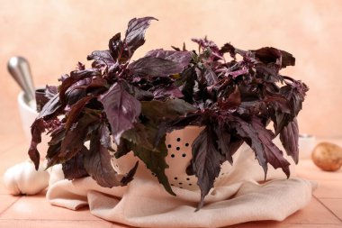 Taze mor fesleğen yapraklı kolander ve bej fayans masasında sarımsak.