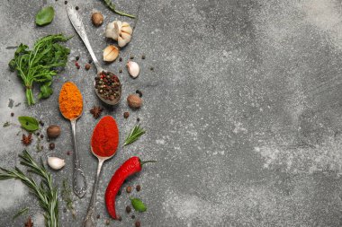 Gri grunge arka planda bitkiler ve baharatlarla kompozisyon