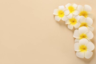 Bej arka planda güzel tesisat çiçekleri