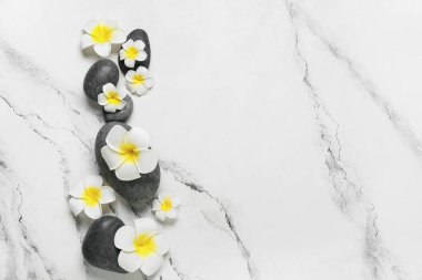 Beyaz zemin üzerinde çakıl taşları olan güzel tesisat çiçekleri.