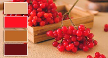 Masada taze viburnum çileği tepsisi