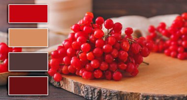 Masada taze viburnum böğürtlenleri var, yakın plan.