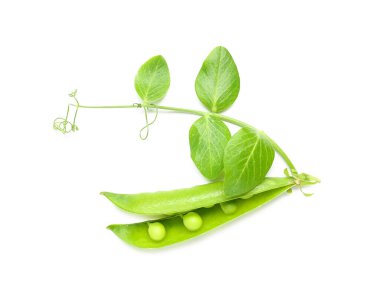 Yeşil bezelye kabuğu ve beyaz arkaplanda yapraklar