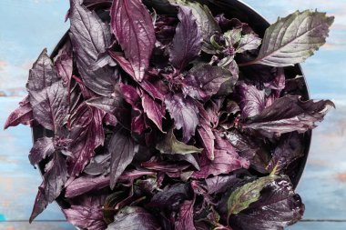 Mavi ahşap arka planda taze mor fesleğen yapraklı kase