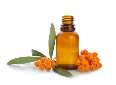 Beyaz arka planda izole edilmiş bir şişe Rowan yağı, yakın plan.