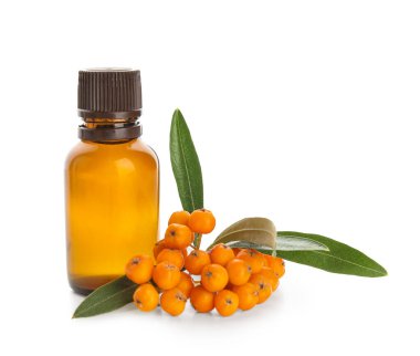 Beyaz arka planda izole edilmiş bir şişe Rowan yağı, yakın plan.