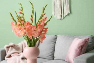 Oturma odasının içinde bir buket güzel gladiolus çiçeği olan bir vazo, yakın plan.