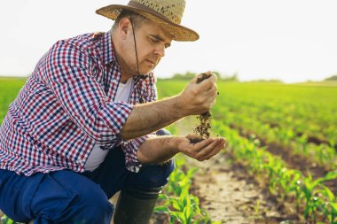 Erkek eller sahada toprağa dokunuyor. Bir çiftçi toprağın kalitesini kontrol eder .
