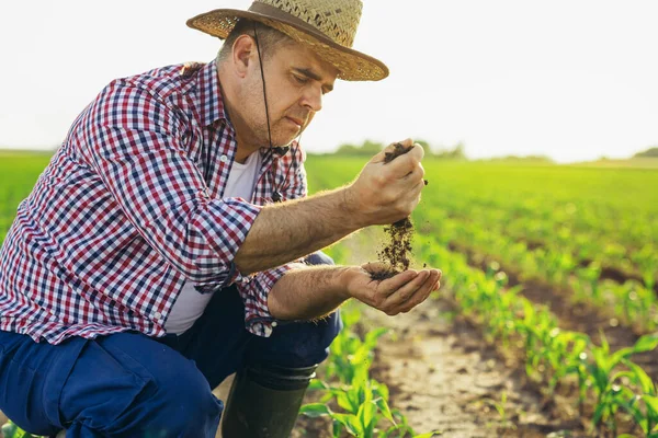 Mannelijke Handen Raken Grond Het Veld Een Landbouwer Controleert Bodemkwaliteit — Stockfoto