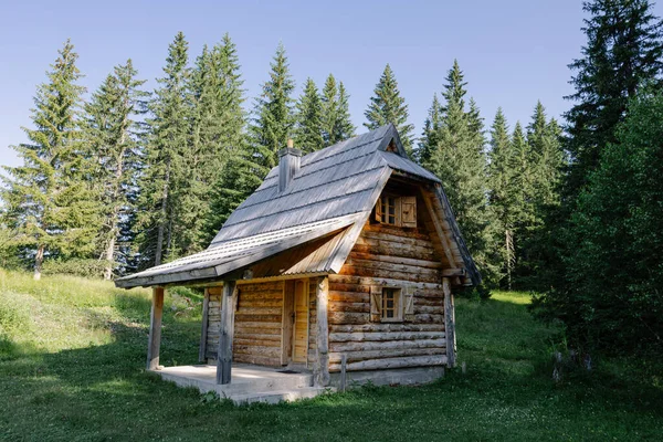 森の伝統的な木造の家 — ストック写真
