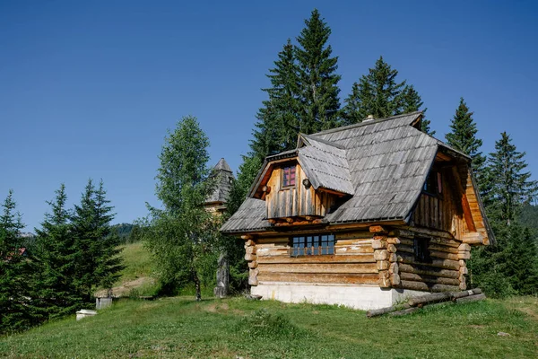 Traditional Wooden House Forest — Stock Photo, Image