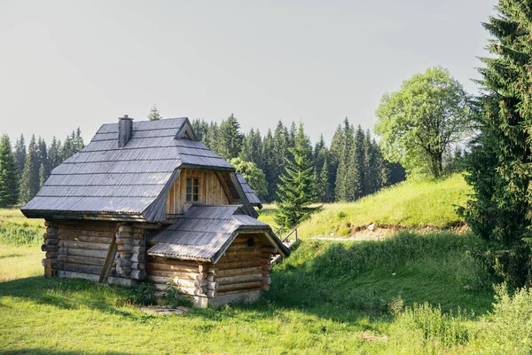 森林中传统的木制房屋 — 图库照片