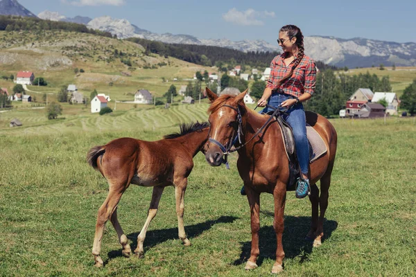 Lycklig Kvinna Rider Vacker Häst Gräsmark Stockbild
