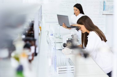 Parlak bir laboratuarda araştırma yapan iki kadın bilim adamı; biri mikroskop kullanırken diğeri laboratuvar ekipmanlarıyla birlikte bir dizüstü bilgisayar üzerinde çalışıyor..