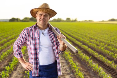 Hasır şapkalı ve kareli gömlekli bir çiftçi yemyeşil bir mısır tarlasında, güneşli bir günde omzunun üzerinde bir tarım aleti taşır..