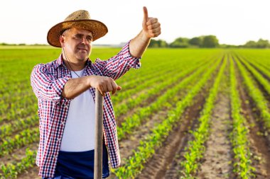 Hasır şapka ve ekose gömlek giyen neşeli bir çiftçi yeşil bir tarlada duruyor, çapaya yaslanıyor ve başarılı hasatı sembolize ediyor..