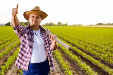 Hasır şapka ve kareli gömlek giyen bir çiftçi, yemyeşil bir tarlada dikilirken, tarım arazisinin güzelliğini ve başarısını gözler önüne seriyor..
