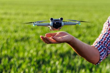 Çiftçinin kontrolündeki dron, ekili buğday tarlasına indi