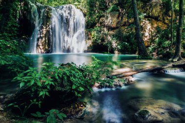 Sakin şelale sık yeşil ormanda akıyor.