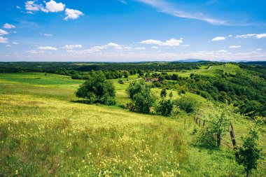 Parlak mavi bir gökyüzü altında kayan tepeler, yeşil çayırlar ve ağaçlarla manzaralı kırsal bir manzara.
