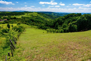 Yuvarlanan yeşil tepeler, açık mavi bir yaz gökyüzü altında verimli ormanlarla buluşarak sakin bir kırsal alan yaratıyor.