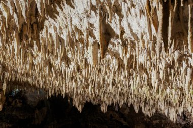 Karanlık bir mağaranın tavanında asılı sayısız sarkıt doğanın oluşumunun güzelliğini gözler önüne seriyor.