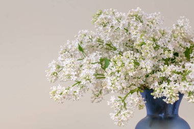 Vazoda Beyaz Leylak Çiçekleri