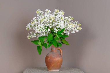 Küresel kaplarda Beyaz Leylak Çiçekleri