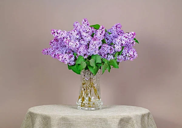 Violet Violet Lilas Fleurs Vase — Photo