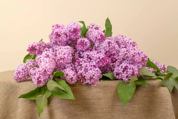 stock image Violet Lilac Flowers on Table