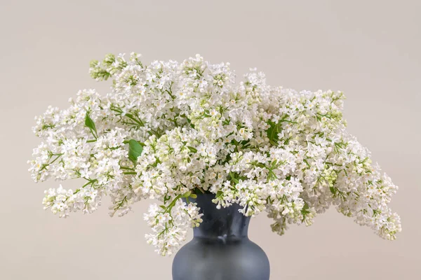 Fleurs Blanches Lilas Vase — Photo