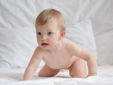 Bebek mavi gözlü tarama