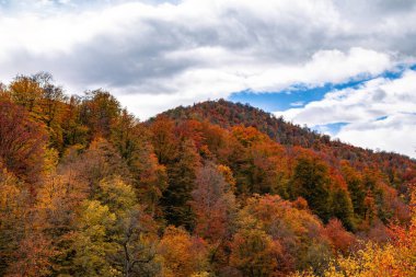 Renkli ağaçlar ve dağlarla dolu sonbahar manzarası