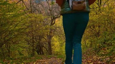 Sırt çantalı genç bir kadın sonbaharda orman yolunda yürüyor.