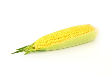 A yellow corn stalk with a green leaf on top. The stalk is long and slender. The corn is fresh and ready to be eaten