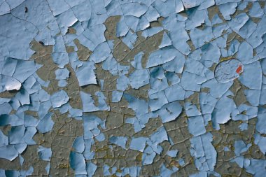 Yüzeyde çatlak yeşil boya. Boya kabuğu soyuluyor. Duvarda çatlak kabukları olan eski yıpranmış boya. İğrenç arkaplan
